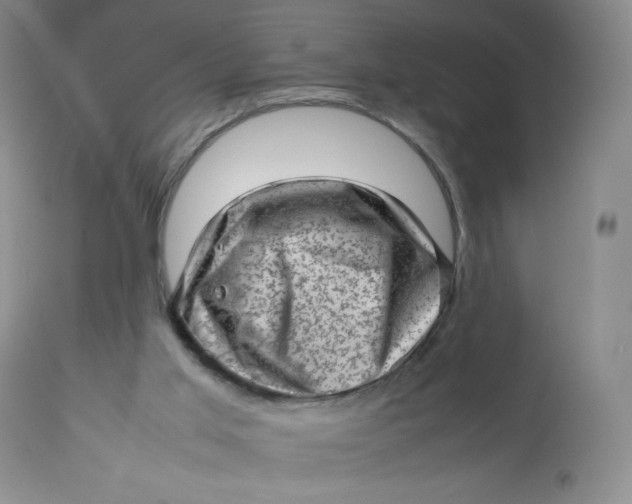 X0000112810013200909111310