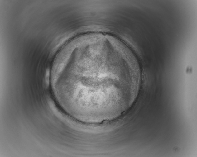 X0000112810014200909111310