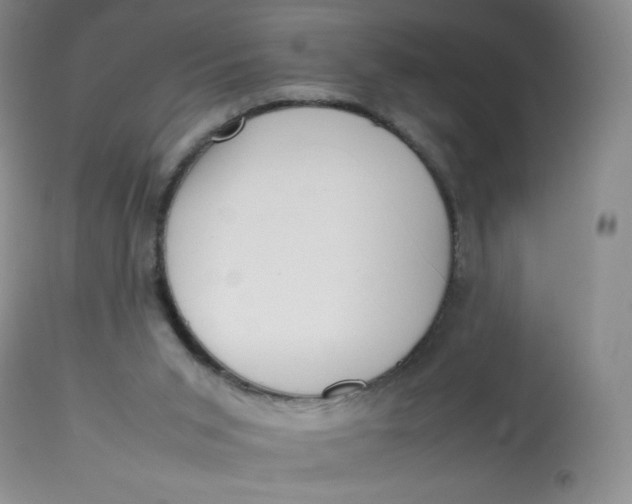 X0000112810015200909111310