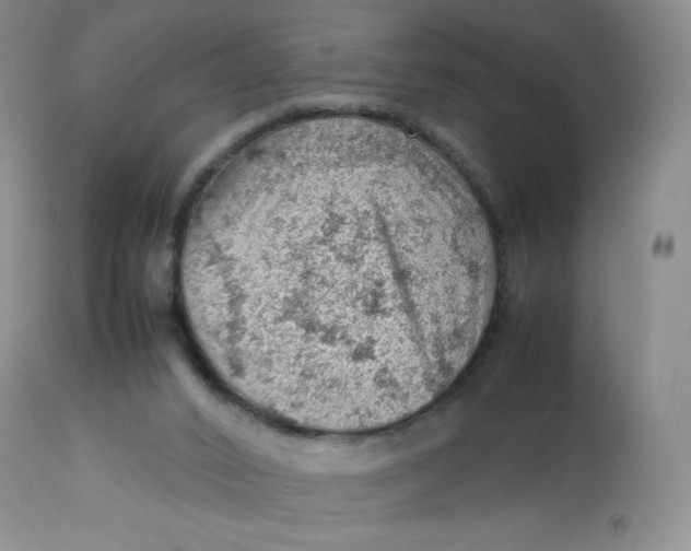 X0000112810016200909111310