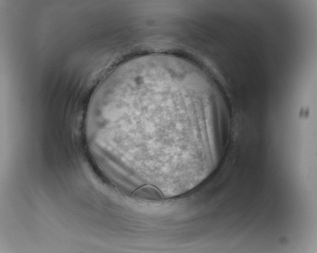 X0000112810018200909111310