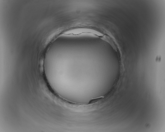 X0000112810019200909111310