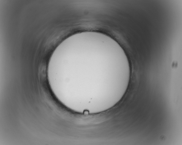 X0000112810021200909111310