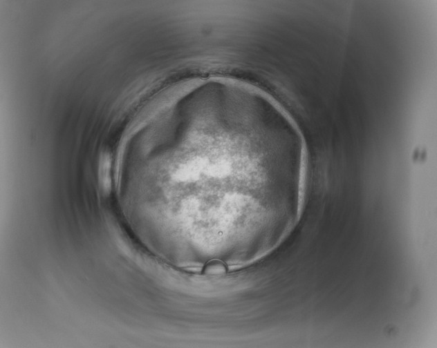 X0000112810022200909111310