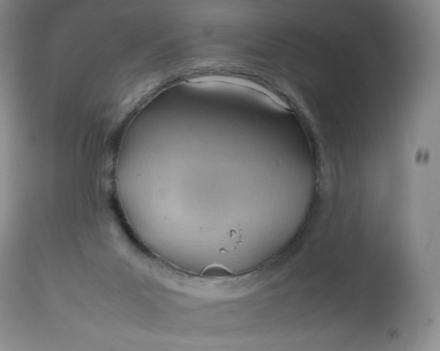 X0000112810023200909111310