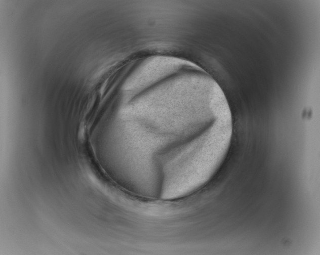 X0000112810024200909111310