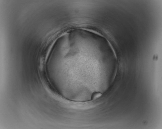 X0000112810026200909111310