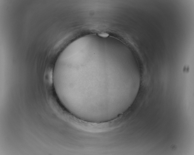 X0000112810027200909111310