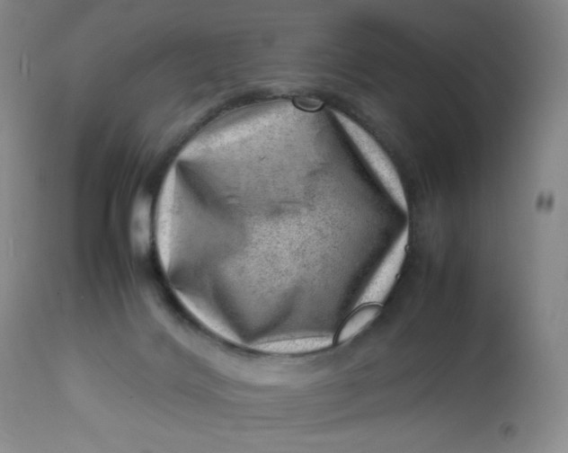 X0000112810028200909111310