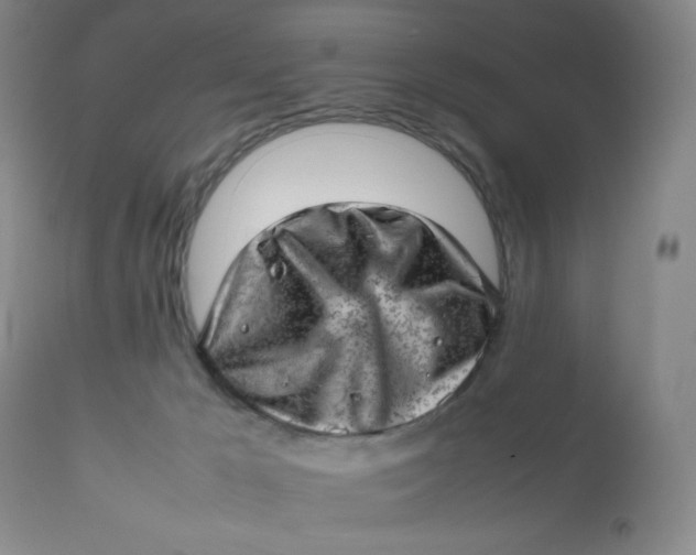 X0000112810029200909111310