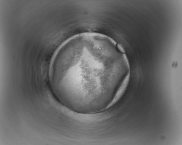 X0000112810030200909111310