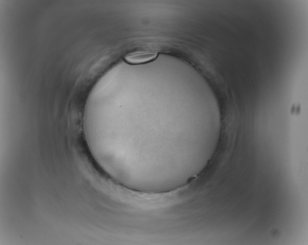 X0000112810031200909111310