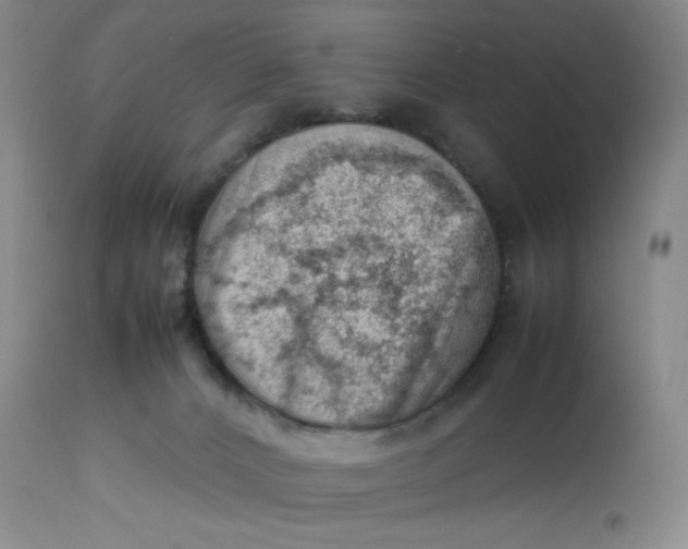 X0000112810032200909111309