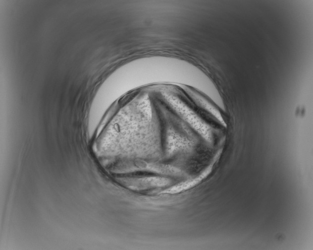 X0000112810033200909111309