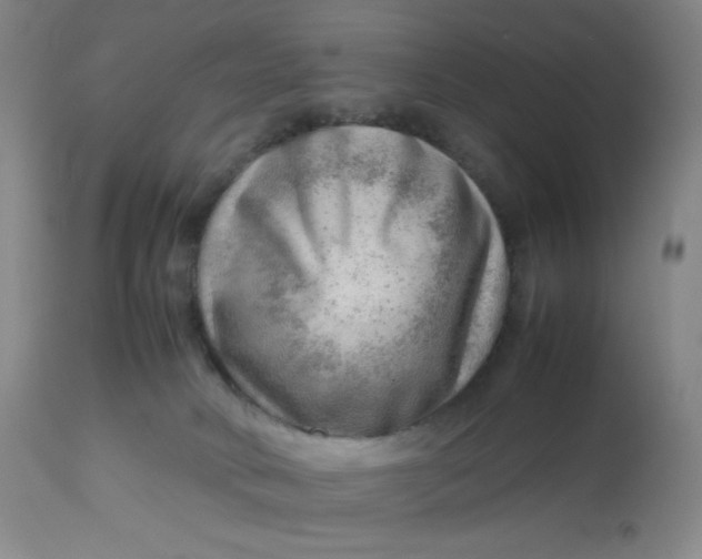 X0000112810034200909111309