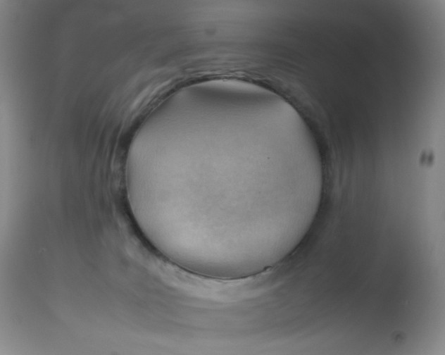 X0000112810035200909111309