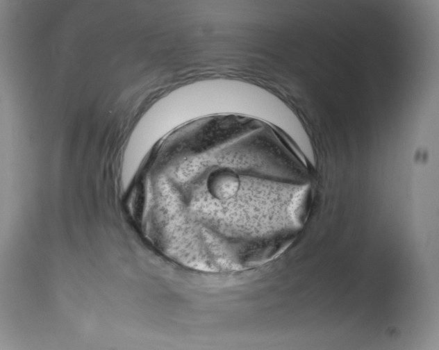 X0000112810037200909111309