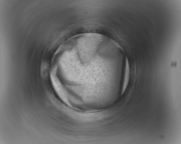 X0000112810038200909111309