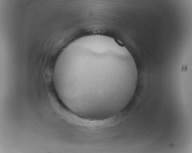 X0000112810039200909111309