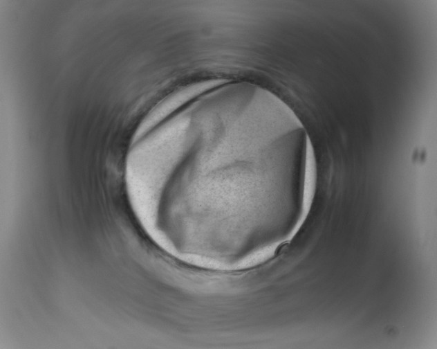 X0000112810040200909111309