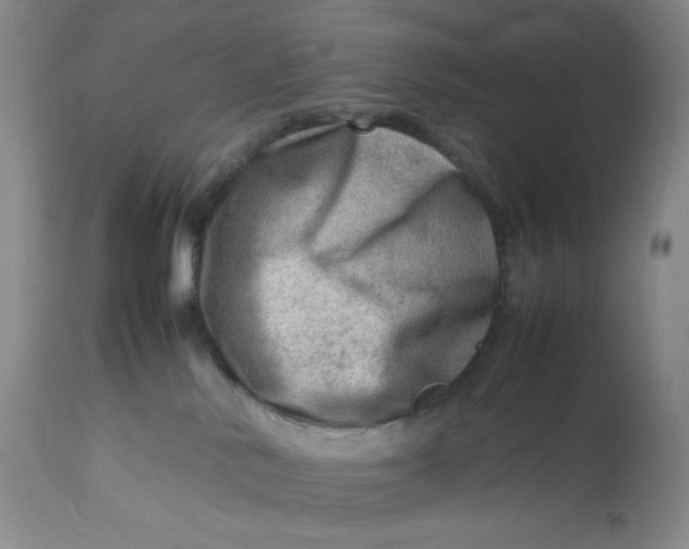 X0000112810042200909111309