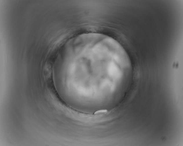 X0000112810043200909111309