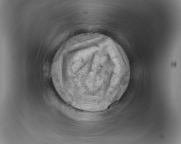 X0000112810044200909111309