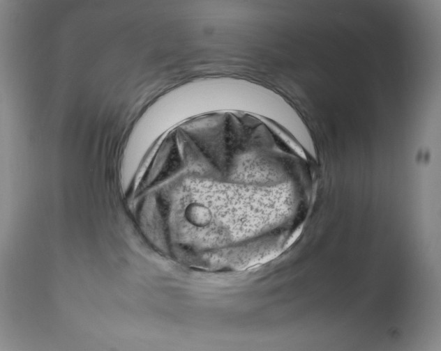 X0000112810045200909111309