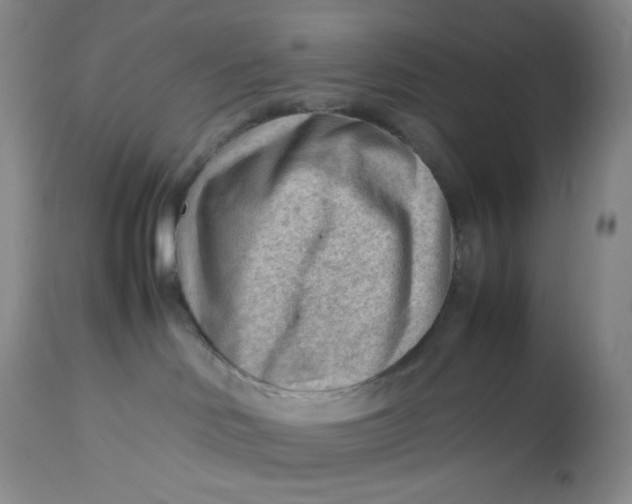 X0000112810046200909111309