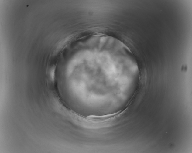 X0000112810047200909111309