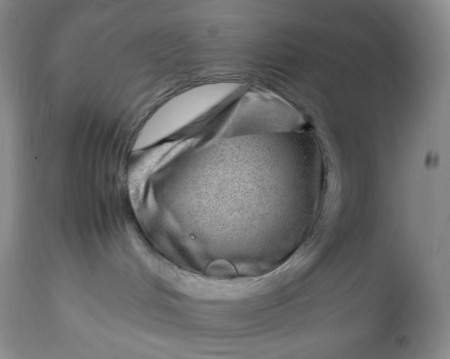 X0000112810048200909111309