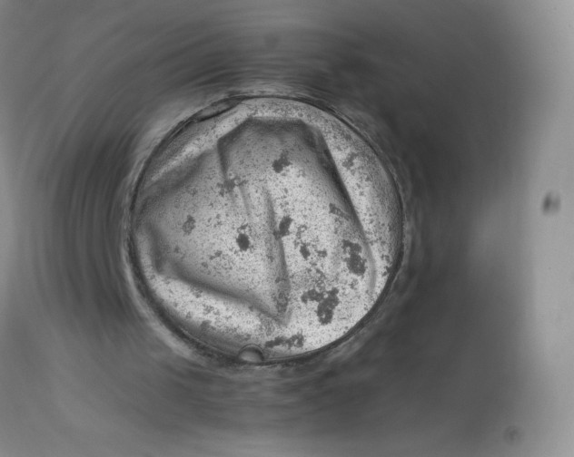 X0000112810049200909111308