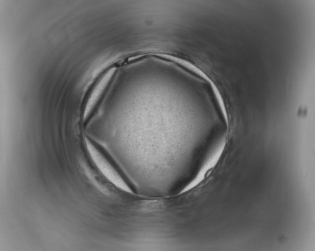 X0000112810050200909111308