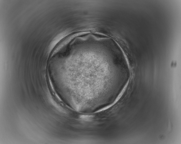 X0000112810051200909111308