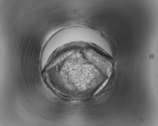 X0000112810052200909111308