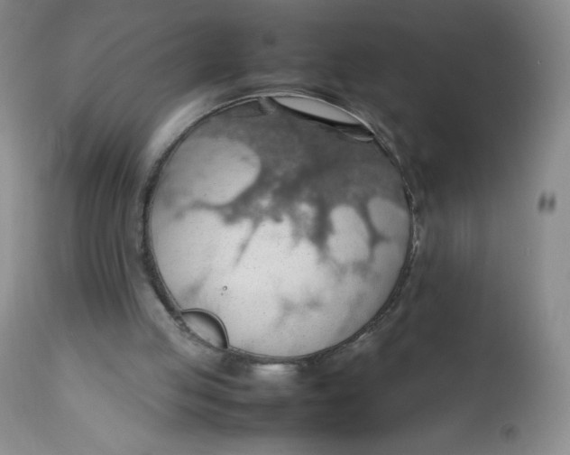 X0000112810053200909111308