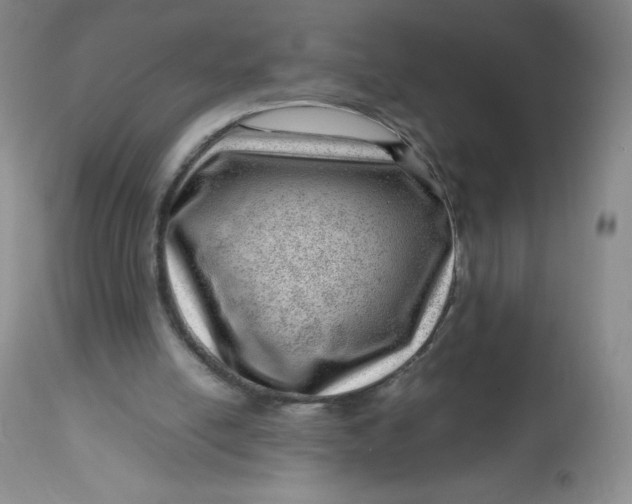 X0000112810054200909111308