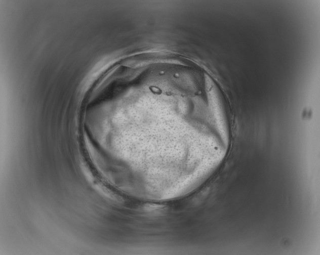 X0000112810055200909111308