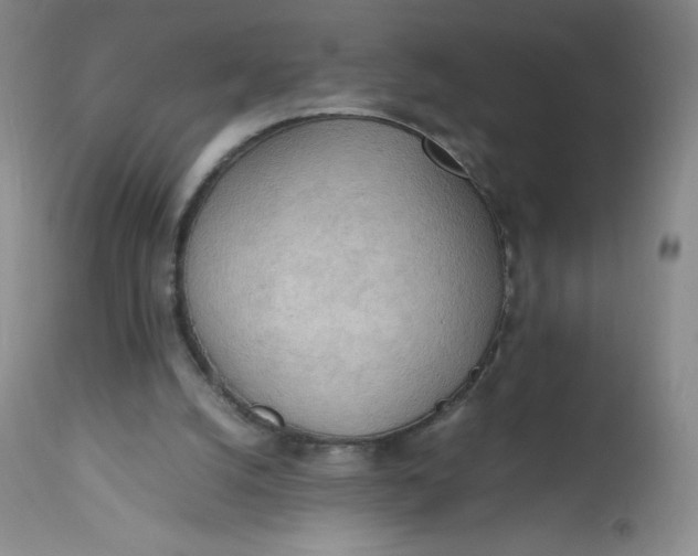 X0000112810056200909111308