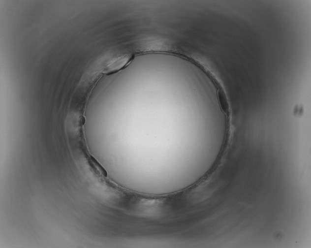 X0000112810057200909111308