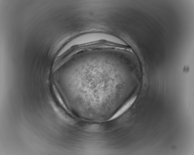 X0000112810058200909111308