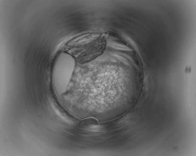 X0000112810059200909111308