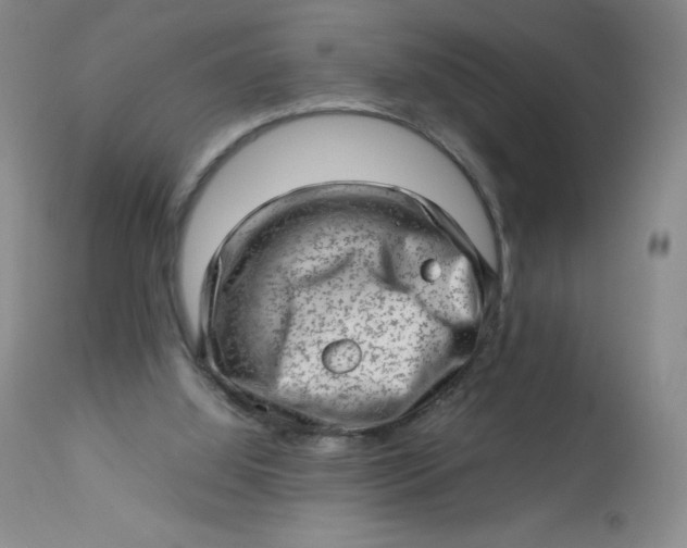 X0000112810060200909111308