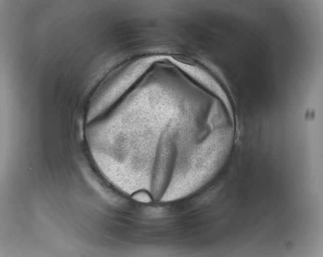 X0000112810061200909111308