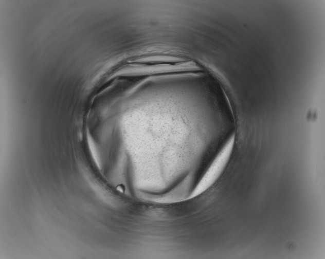 X0000112810062200909111308