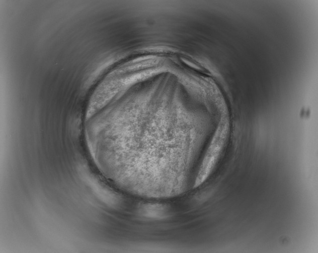 X0000112810063200909111308