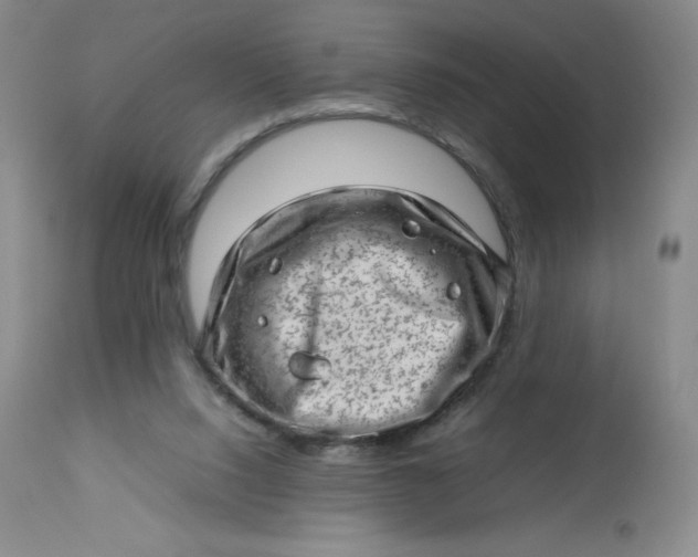 X0000112810064200909111308