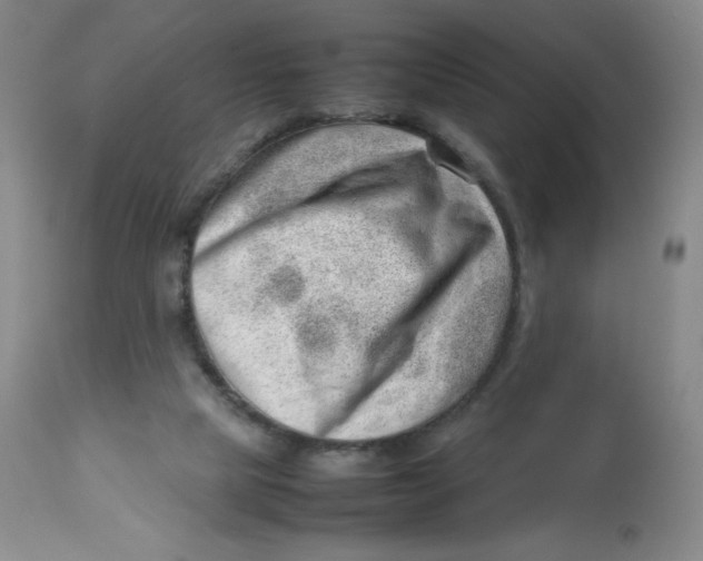 X0000112810065200909111308