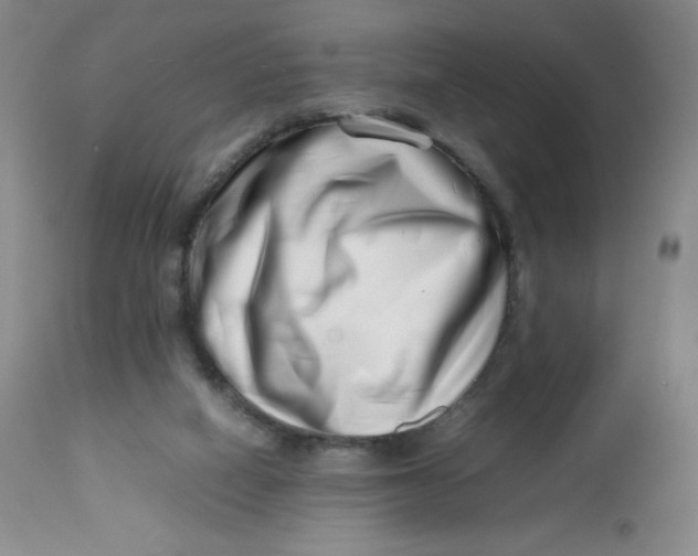 X0000112810066200909111309