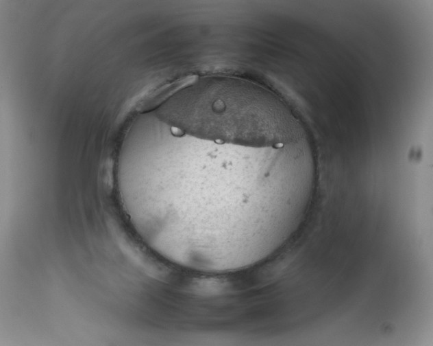 X0000112810067200909111309